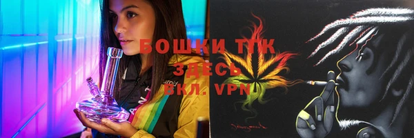 молекула духа Коряжма