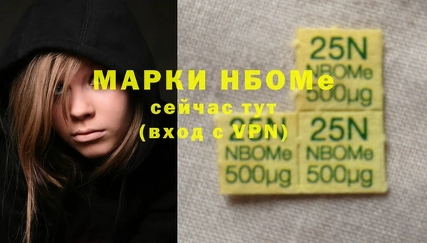 молекула духа Коряжма