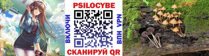 гидра ссылки  дарк нет клад  Галлюциногенные грибы Cubensis  купить закладку  Северск 
